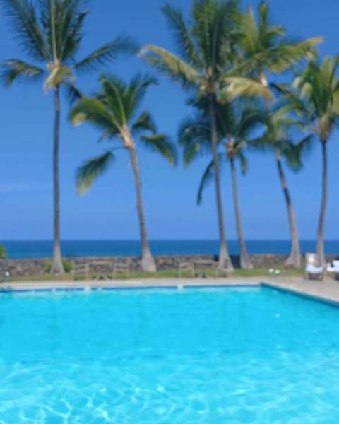 A bright blue pool under tall palms, ocean behind