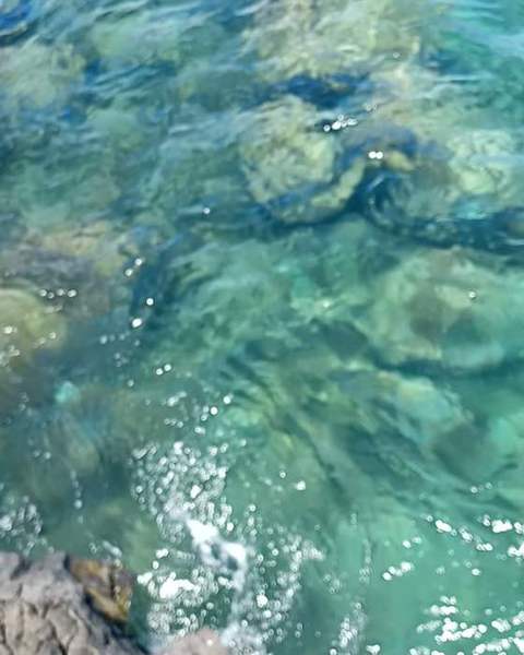 Looking straight down into clear green water over lava rock