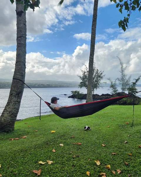 A hammock strung between palms beside a calm bay